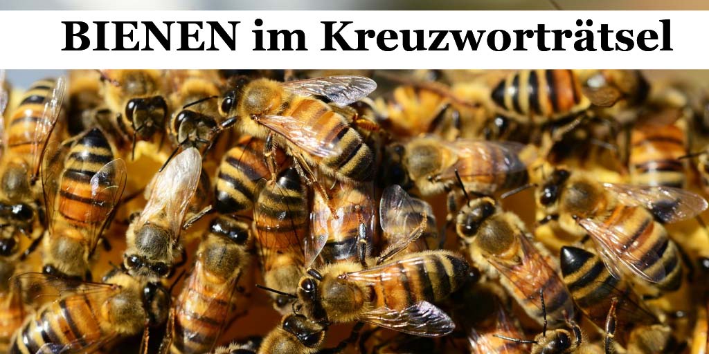 Sum sum sum - Bienen und ihr Bienenprodukt im Kreuzworträtsel