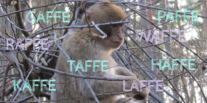 Taktisch Scrabble Wörter lernen: Wenn der Affe auf dem Bänkchen sitzt